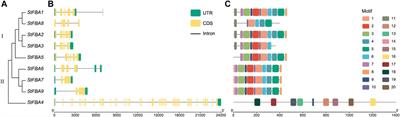 Characterization of FBA genes in potato (Solanum tuberosum L.) and expression patterns in response to light spectrum and abiotic stress